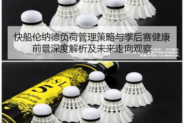 快船伦纳德负荷管理策略与季后赛健康前景深度解析及未来走向观察