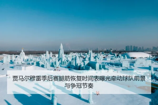 贾马尔穆雷季后赛腿筋恢复时间表曝光牵动球队前景与争冠节奏